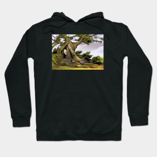 A rabbit is watching you Hoodie